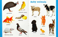 My First Picture Book of Animals