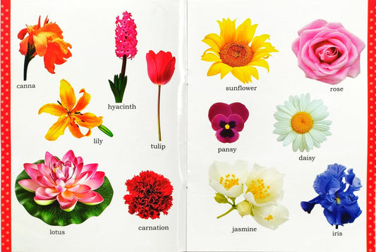 My First Picture Book of Flowers