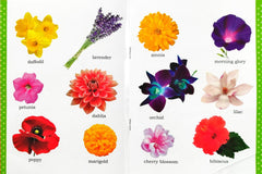 My First Picture Book of Flowers