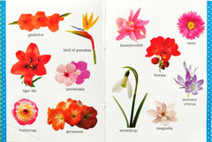 My First Picture Book of Flowers