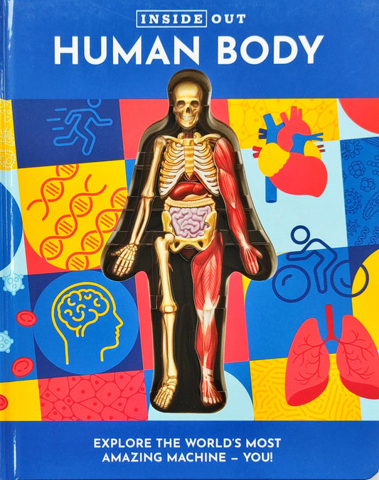 Inside Out Human Body