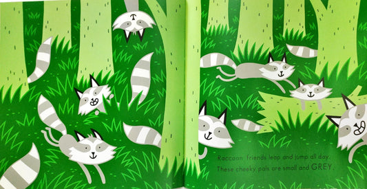 Animal Colours (12 Fun Flashcard)