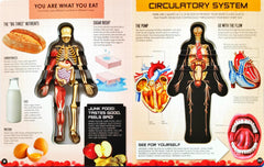 Inside Out Human Body