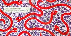 Animal Colours (12 Fun Flashcard)