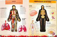 Inside Out Human Body