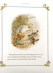 The Tale of Peter Rabbit and Other Stories (14 Stories)