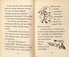 The Boy who had Nearly Everything