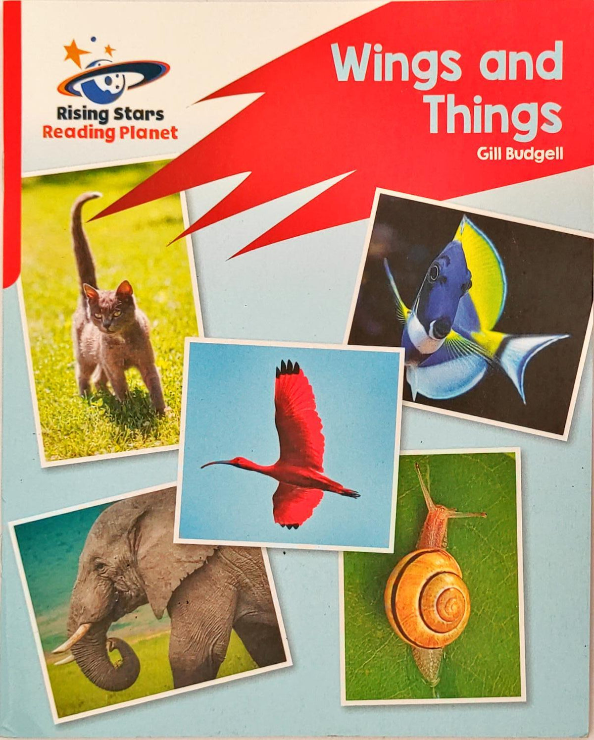 Wings and Things