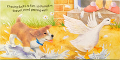 Playful Puppy (Touch and Feel)