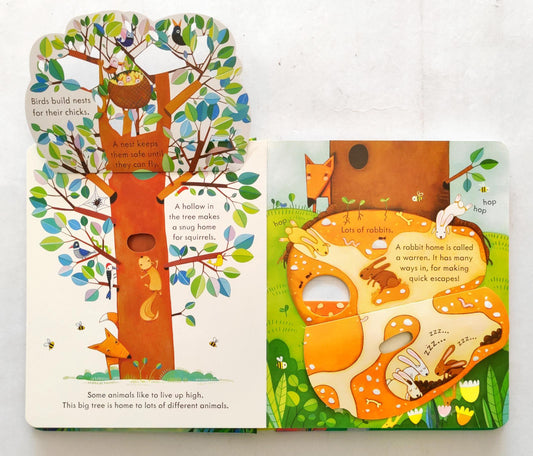Usborne Peep Inside Animal Homes (Flap Book)