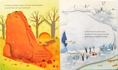 Usborne Peep Inside Animal Homes (Flap Book)
