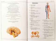 Children's Illustrated Encyclopedia Combo 2 (5 Books)