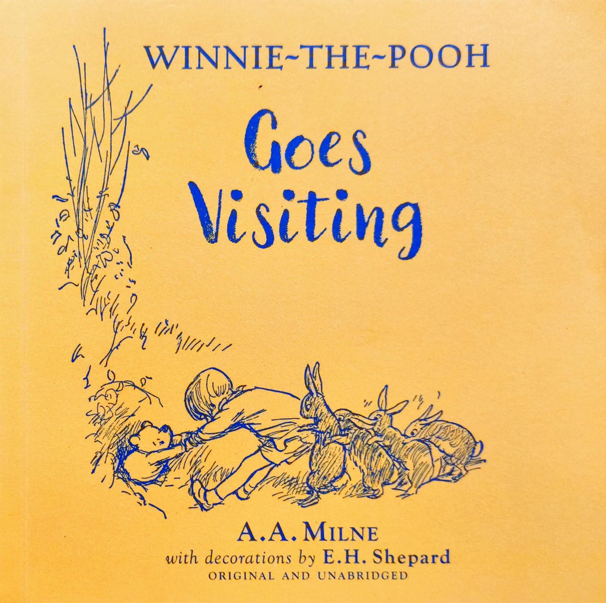 Winnie the Pooh Goes Visiting