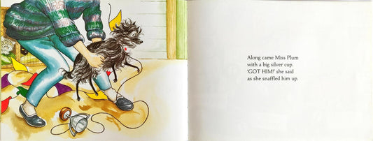 Hairy Maclary Combo Set 5 (5 Books)