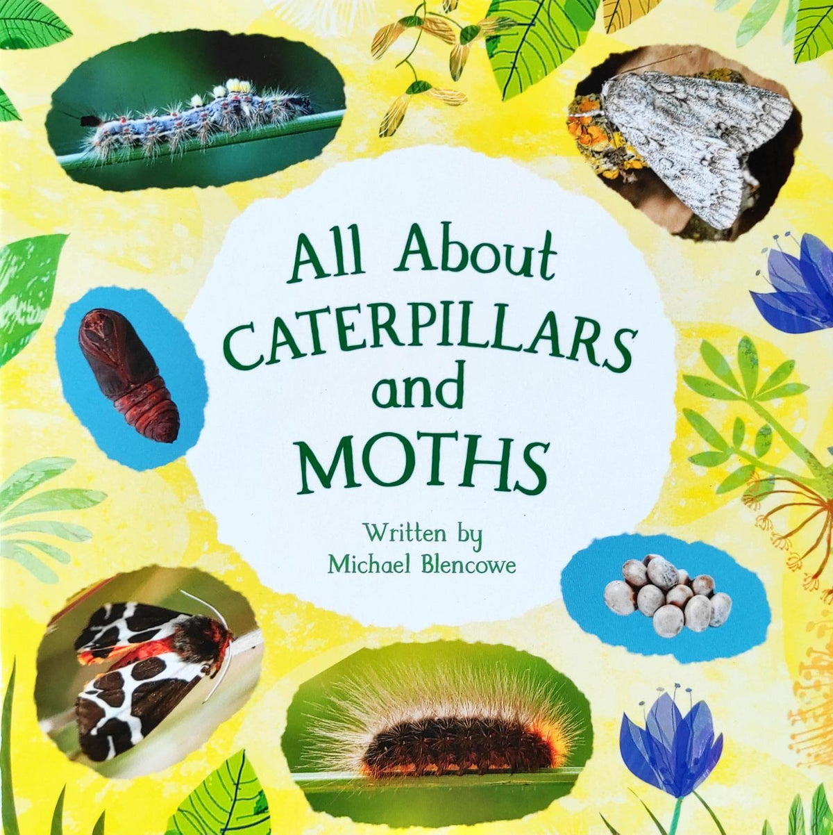 All About Caterpillars and Moths