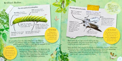 All About Caterpillars and Moths