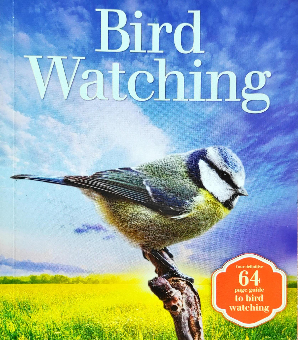 Bird Watching