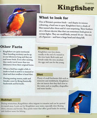 Bird Watching