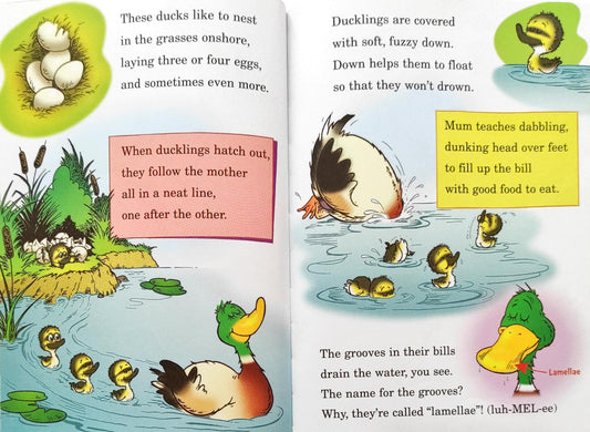 Dr. Seuss Combo Set 16 (4 Books)