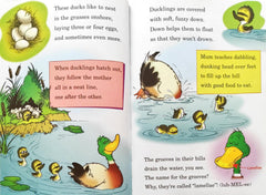 Dr. Seuss Combo Set 16 (4 Books)
