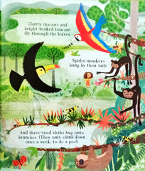 Usborne Can We Really Help the Trees?