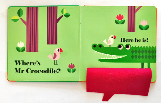 Where's Mr Lion ? (Felt Flap Book)