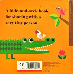 Where's Mr Lion ? (Felt Flap Book)