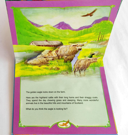 A Scottish (Popup Book)