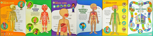 The Human Body