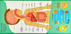 The Human Body