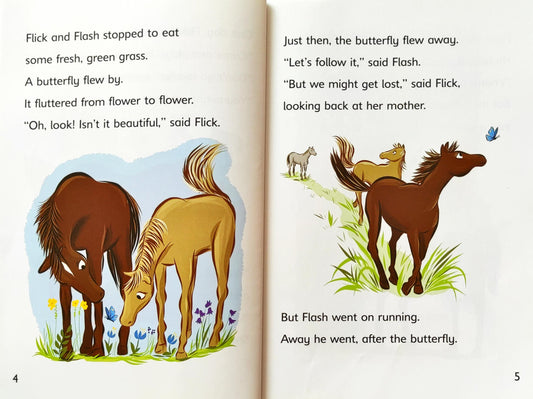 Flash and the Butterfly (Reading Champion)
