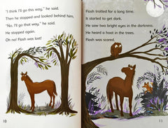 Flash and the Butterfly (Reading Champion)