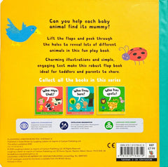 Who's My Mummy?(Lift the Flap)