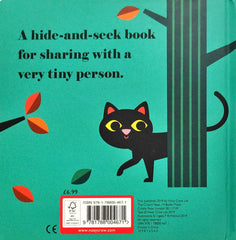 Where's  Mrs Witch?(Felt Flaps)