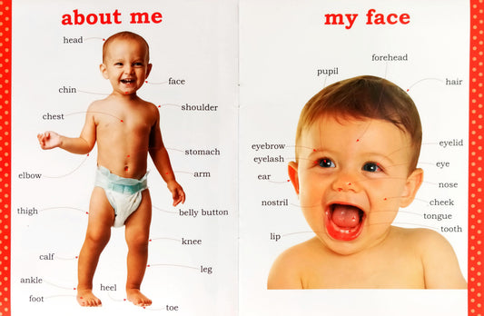 My First Picture Book of Parts of Body