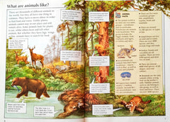 The World of Animals