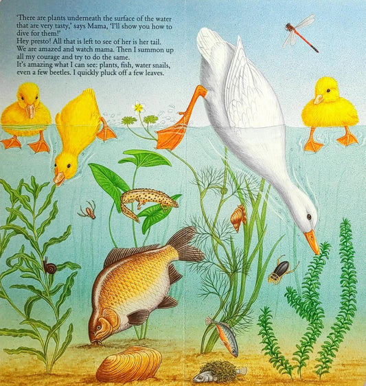 The Little Duckling