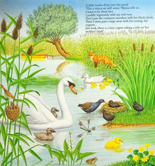 The Little Duckling