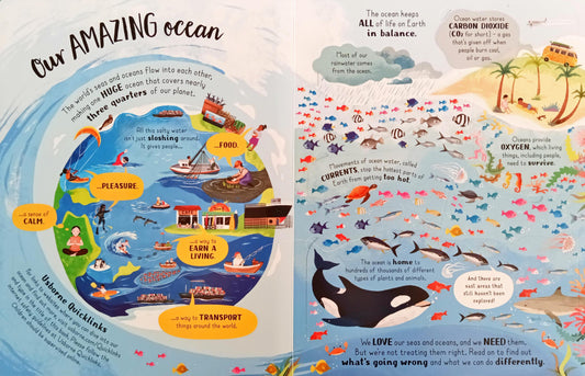 Usborne Looking After Our Ocean  (Flap Book)