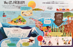 Usborne Looking After Our Ocean  (Flap Book)