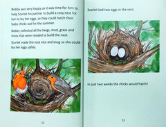 Bobby the Allotment Robin