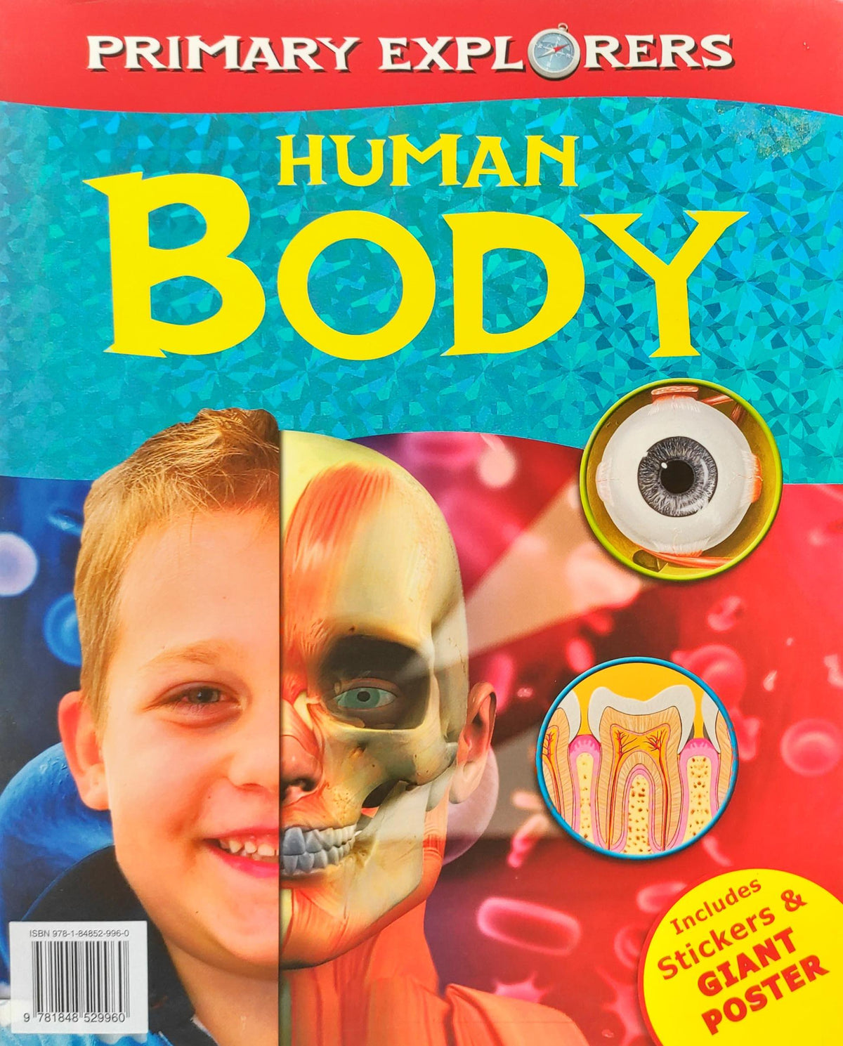 Primary Explorers Human Body