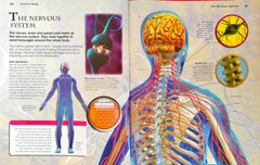 Primary Explorers Human Body