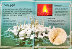 Oceans and Seas (Kingfisher Young Knowledge)