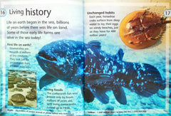 Oceans and Seas (Kingfisher Young Knowledge)