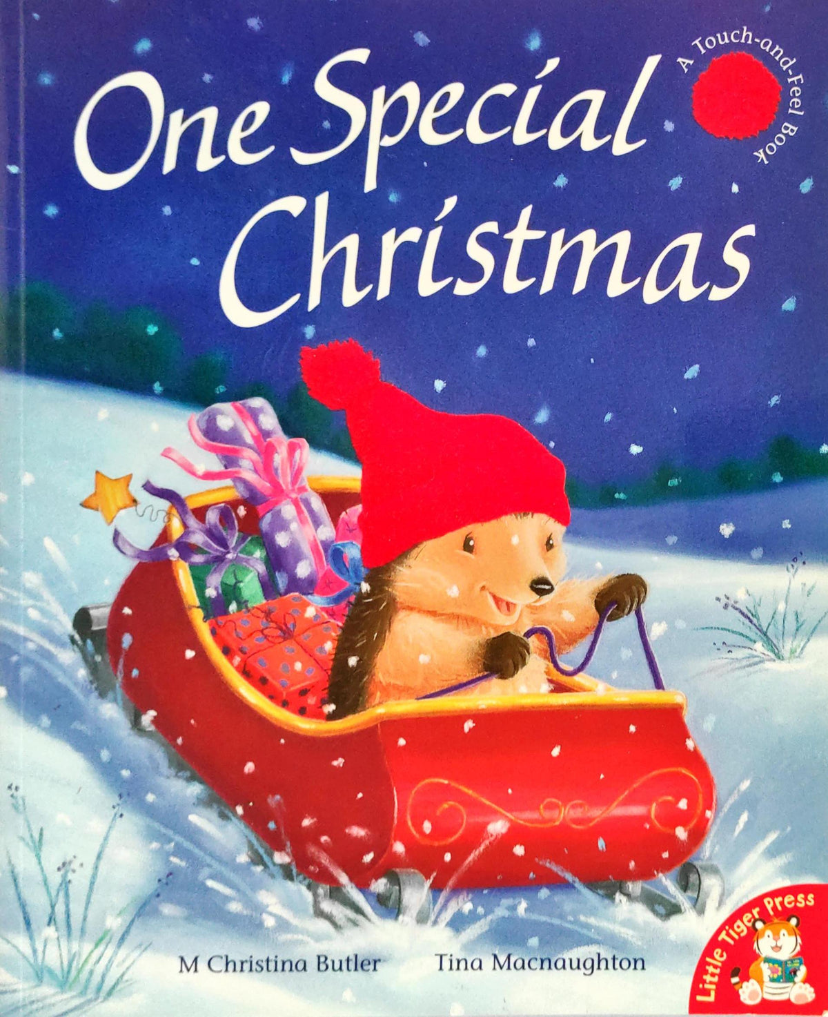 One Special Christmas  (Touch and Feel)