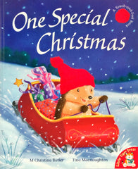 One Special Christmas  (Touch and Feel)