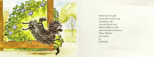 Hairy Maclary Combo Set 7 (4 Books)