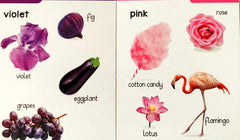 Colours and Shapes (Early Learning Padded Board Book)