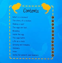 Life Cycles Combo Set 3 (2 Books)